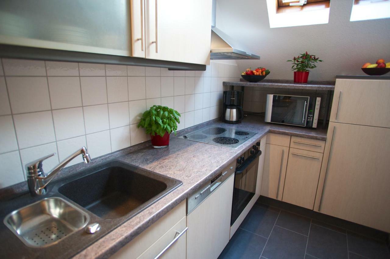 Neumann Apartment Marbach am Neckar Exteriér fotografie
